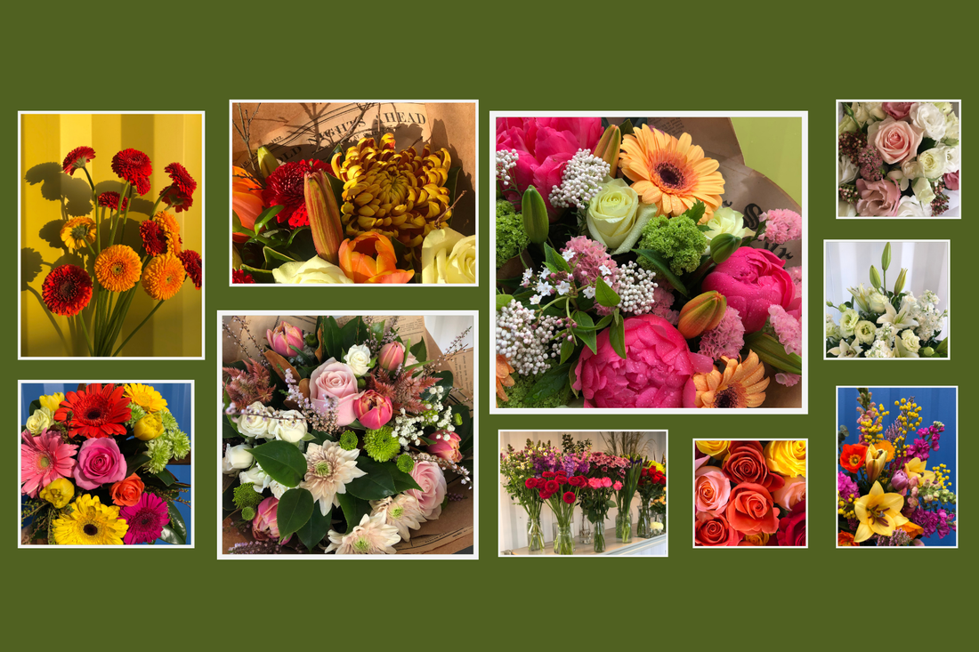 Florist Thames | Grahamstown Flower Merchant