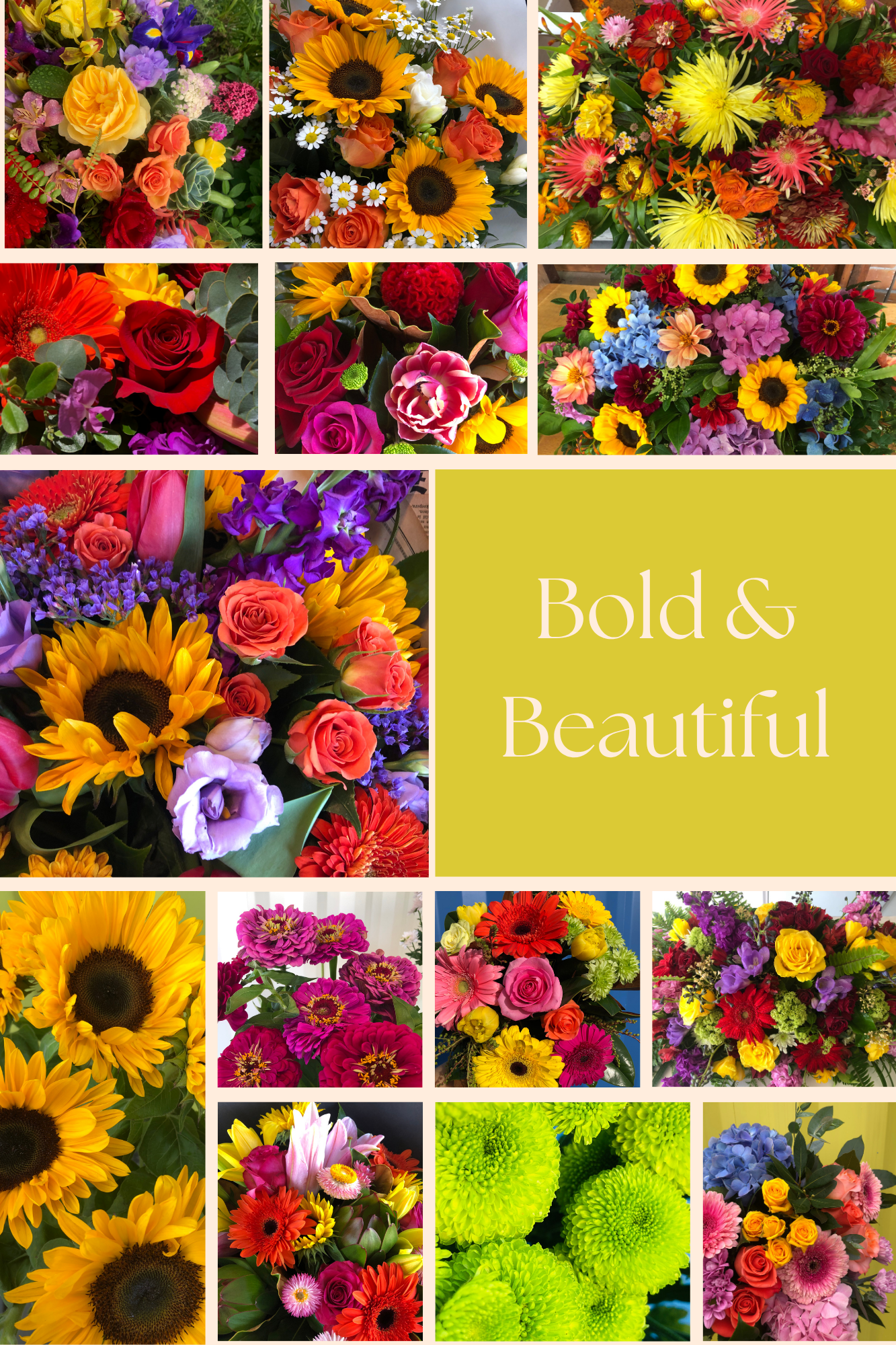 Bold & Beautiful